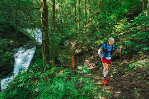 BIB: 
                            <button type="button" onclick="openModal(25043262)" class="btn btn-primary btn-sm float-right btn-popup" data-toggle="modal" data-target=".modal-high-quality">
                        <i class="fas fa-shopping-cart"></i> Add to Cart
                    </button>
                                            <button type="button" onclick="isThisMe(25043262, true)" class="btn btn-success btn-sm float-right btn-popup btn-isme hidden" data-toggle="tooltip" data-placement="bottom" title="นี่คือรูปของคุณใช่ไหม คลิกที่นี่เพื่อเอาเข้าอัลบั้ม">
                        <i class="fas fa-plus"></i> Add to album
                    </button>
                    <button type="button" onclick="isThisMe(25043262, false)" class="btn btn-warning btn-sm float-right btn-popup btn-isnotme hidden">
                        <i class="fas fa-ban"></i> Remove from album
                    </button>